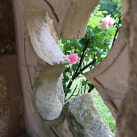 Mas Du Figuier Occitanie - Maison De Maitre Gourdon-en-quercy