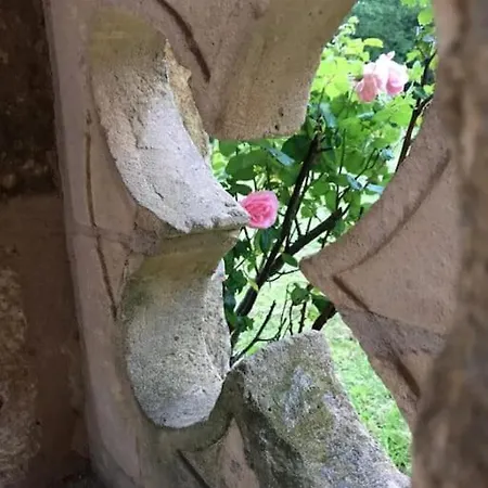 Mas Du Figuier Occitanie - Maison De Maitre * Gourdon-en-quercy