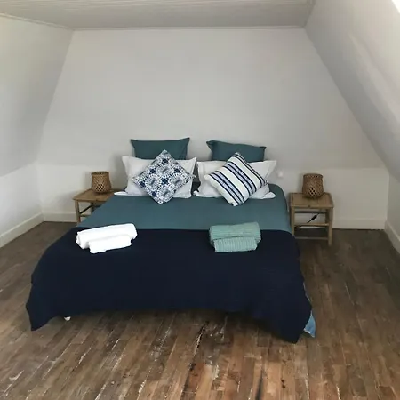 Mas Du Figuier Occitanie - Maison De Maitre 別荘 *