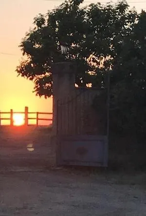 別荘 Mas Du Figuier Occitanie - Maison De Maitre