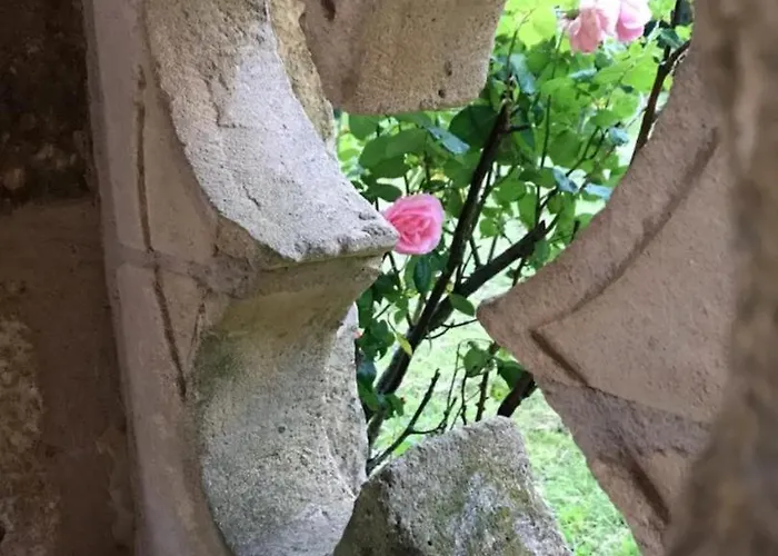 Mas Du Figuier Occitanie - Maison De Maitre Gourdon-en-quercy